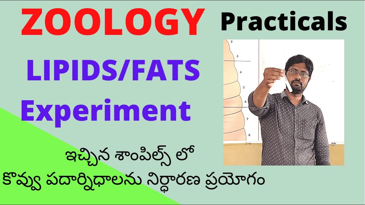 Lipids/Fats Experiment || Inter Zoology Practicals |శాంపిల్స్ లో  కొవ్వు పదార్థాలను నిర్ధారణ ప్రయోగం