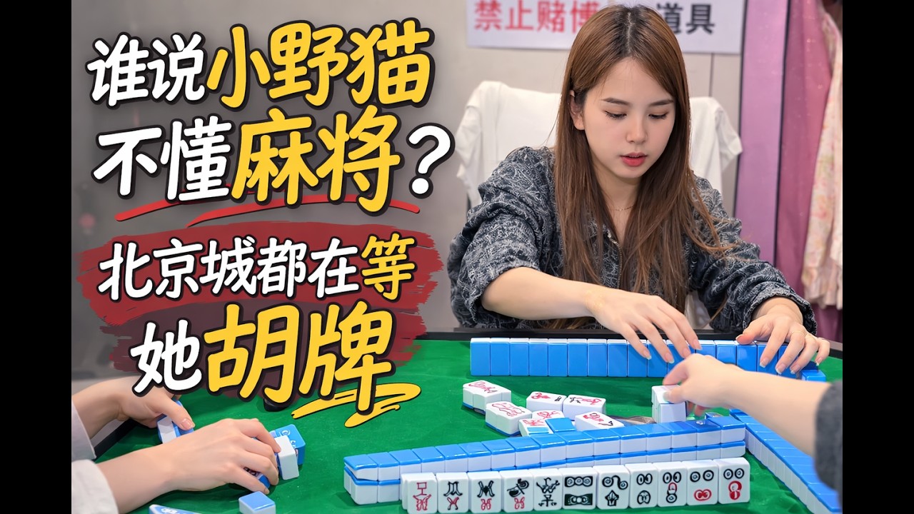 谁说小野猫不懂麻将？北京城都在等她胡牌