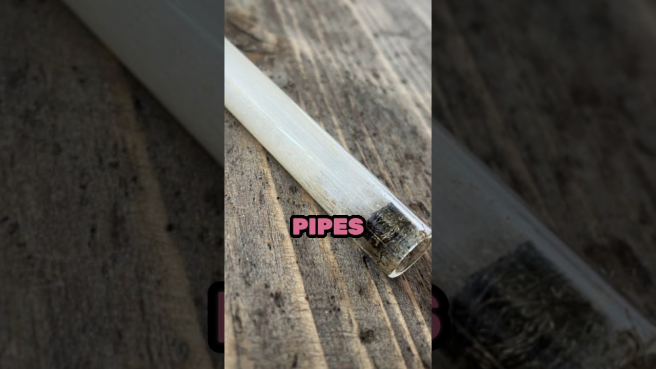 Мама сказала, что курить нужно, чтобы собирать пепел для CRACK 🚬 #ashpipe #crack #youtubeshorts