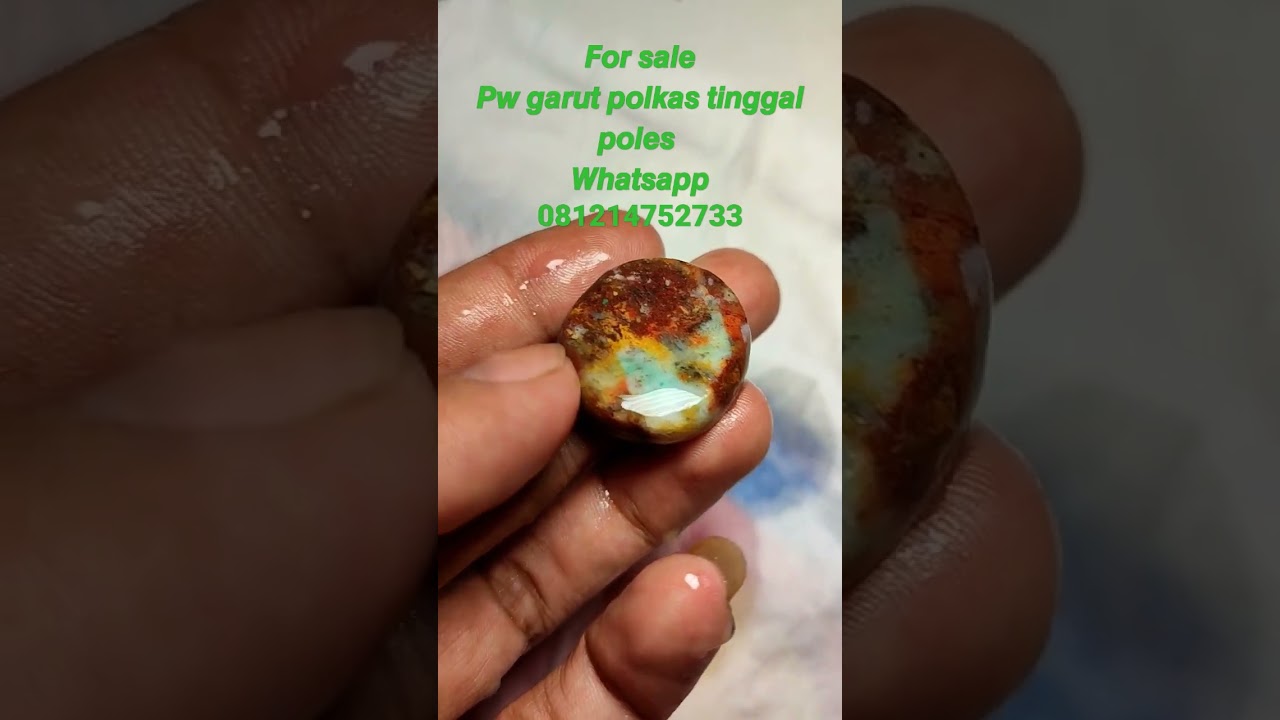 #pancawarnagarut  #ijogarut #polkas  bn 250k