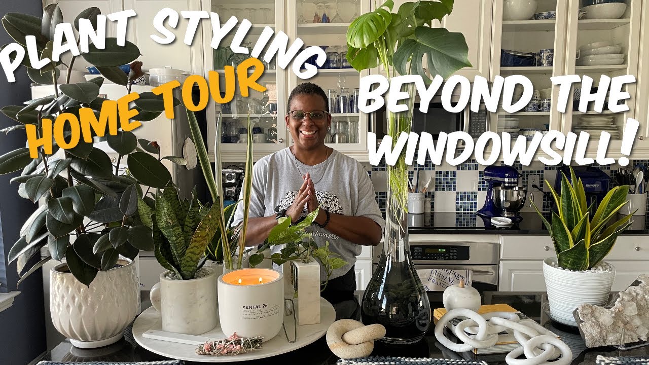 79:🍃Plant Styling | Beyond The Windowsill! | 🌱Houseplants🌵Cactus & Succulents