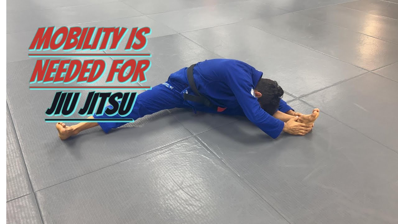 Mobility IS NEEDED For Jiu Jitsu | Cobrinha BJJ