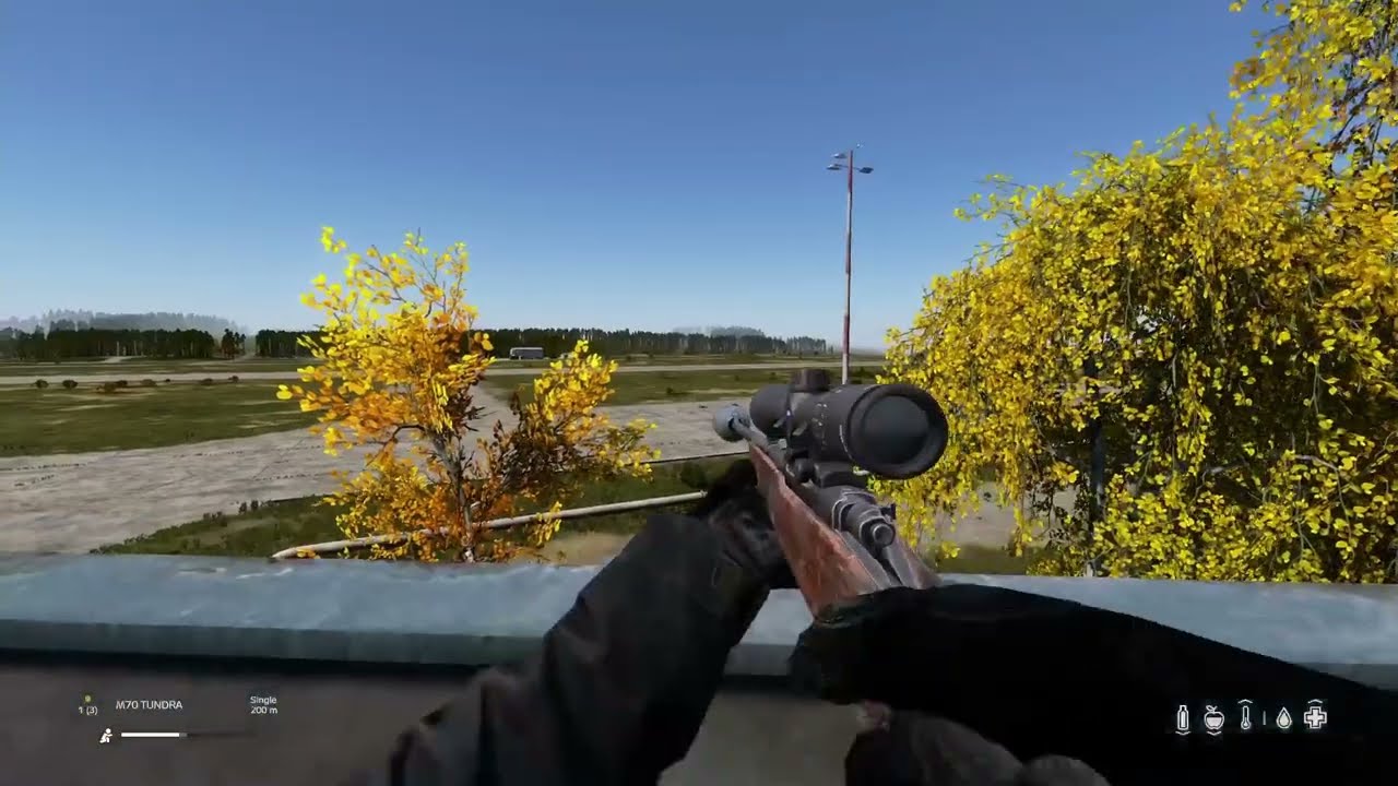 Random DayZ clips #9