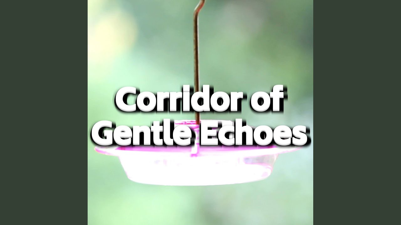 Corridor of Gentle Echoes