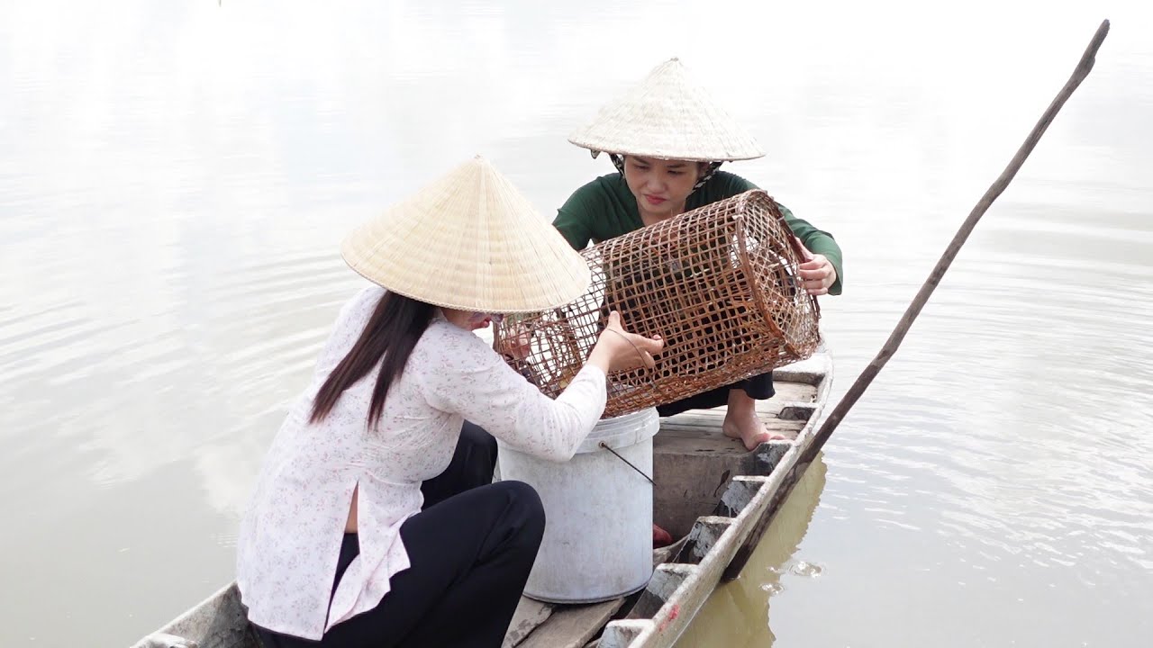 Mùa Nước Nổi Đặt Lờ Cua bằng mồi Khoai Mì hiệu quả được nồi Lẩu Cua Đồng | HQ #930