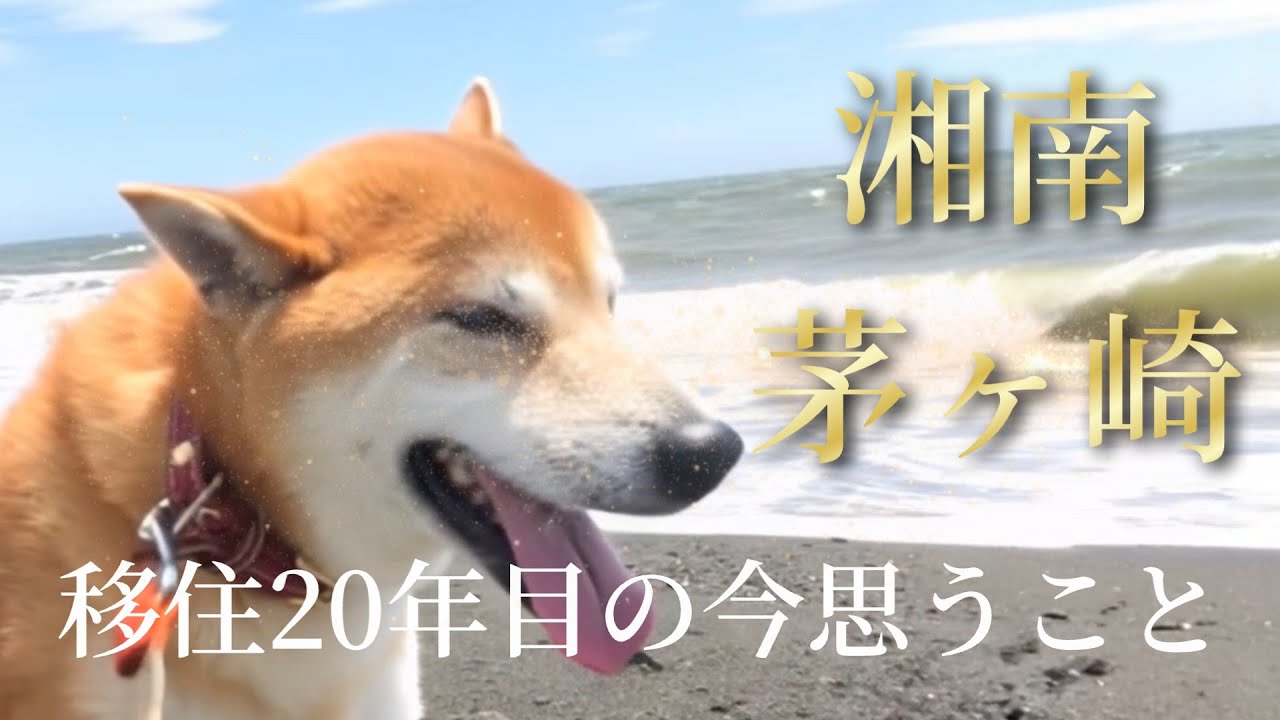 湘南茅ヶ崎移住20年目、今だから言えるメリットデメリット