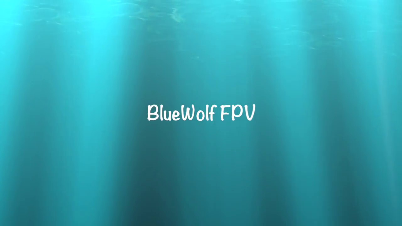 BlueWolf FPV - Velo Training Session