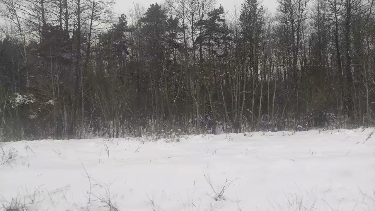 4 февраля 2026 г.