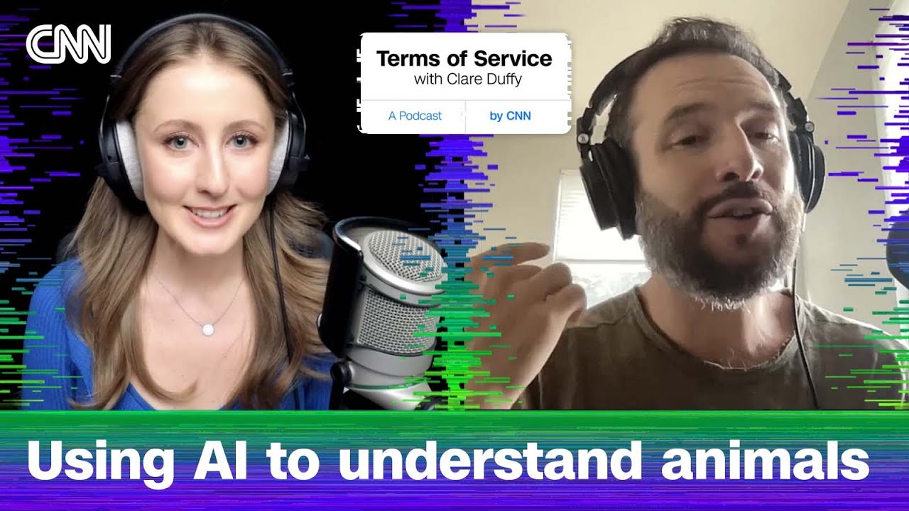 Can AI really help us decode our pets&rsquo; communication? | Terms of Service