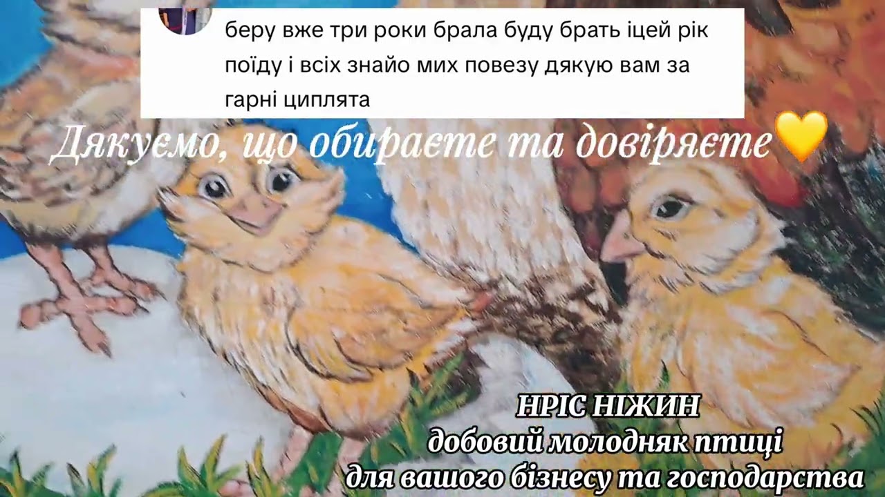 Ніжинський інкубатор, птахівництво