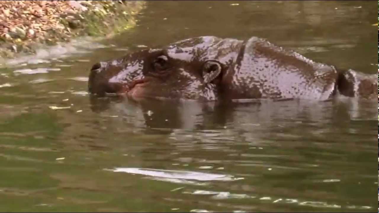 Sierra Leone Tourism: Nature (by NTBSL)