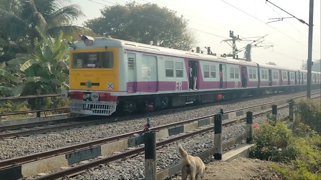 বালুরঘাট এক্সপ্রেস ও কাটোয়া হাওড়া লোকাল ট্রেন বলাগড় রেলগেটে ক্রসিং হচ্ছে 