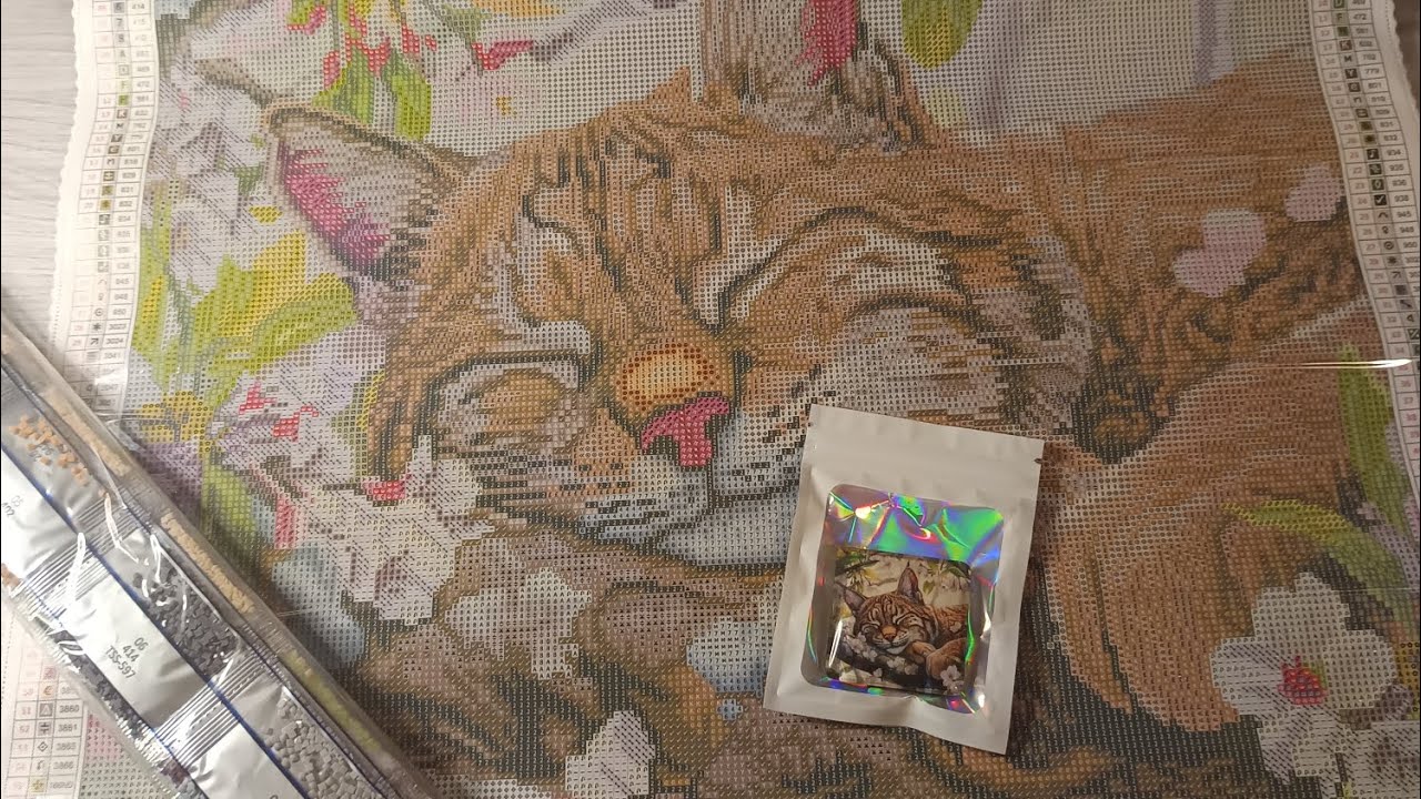 Neues Bild von Tini der Luchs🤎🩷