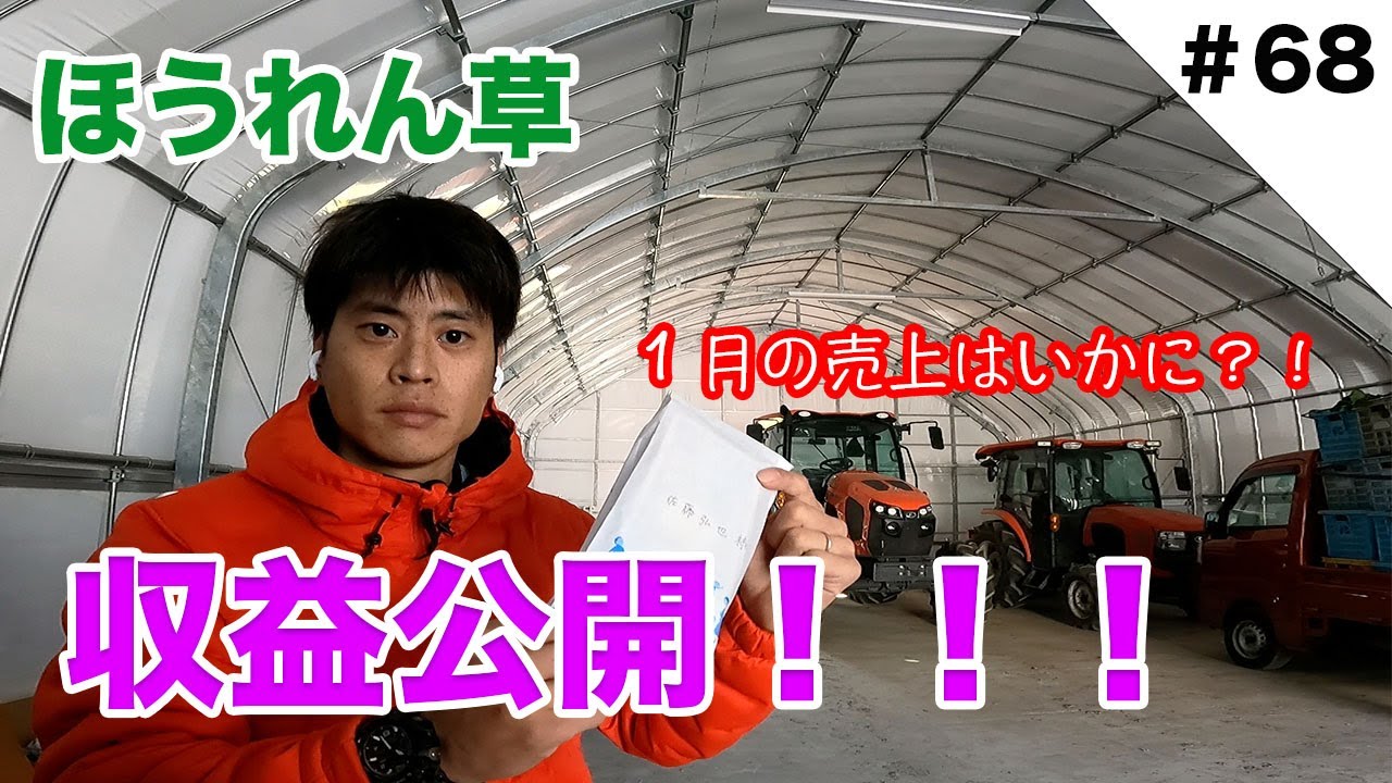 収益公開！！　ほうれん草の売上はいくらでしょう？？