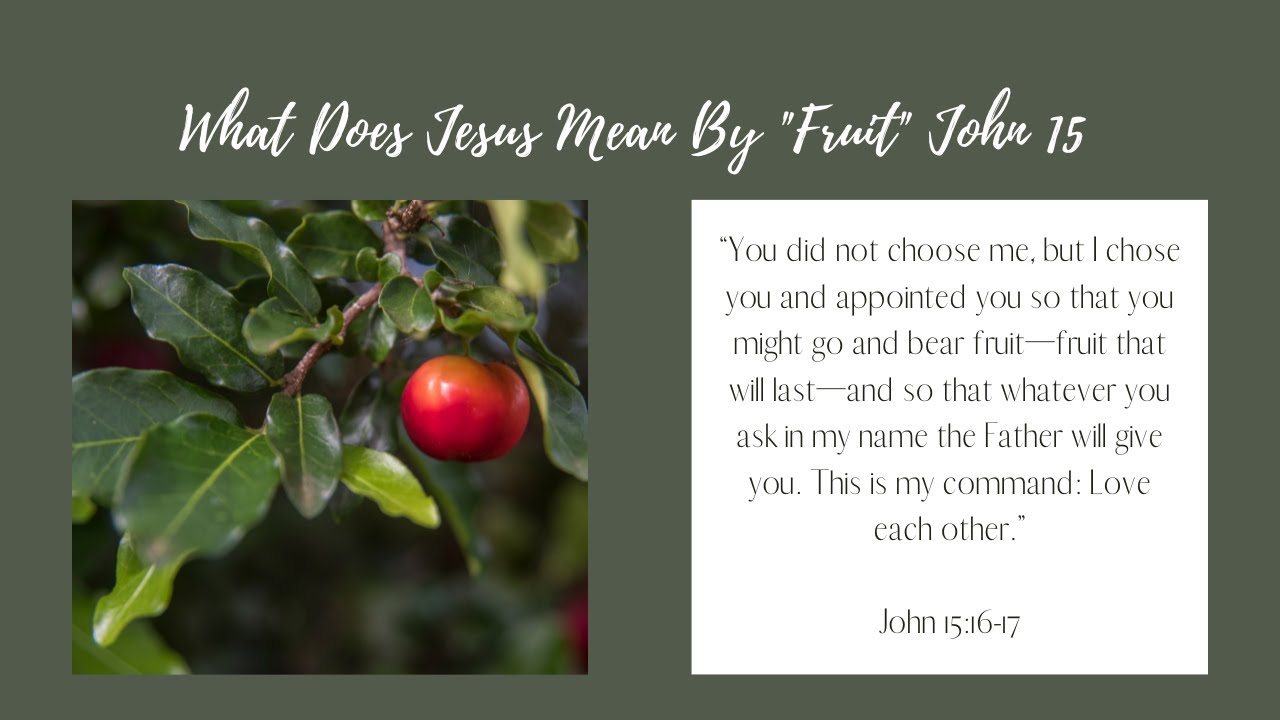 What Does Jesus Mean by 