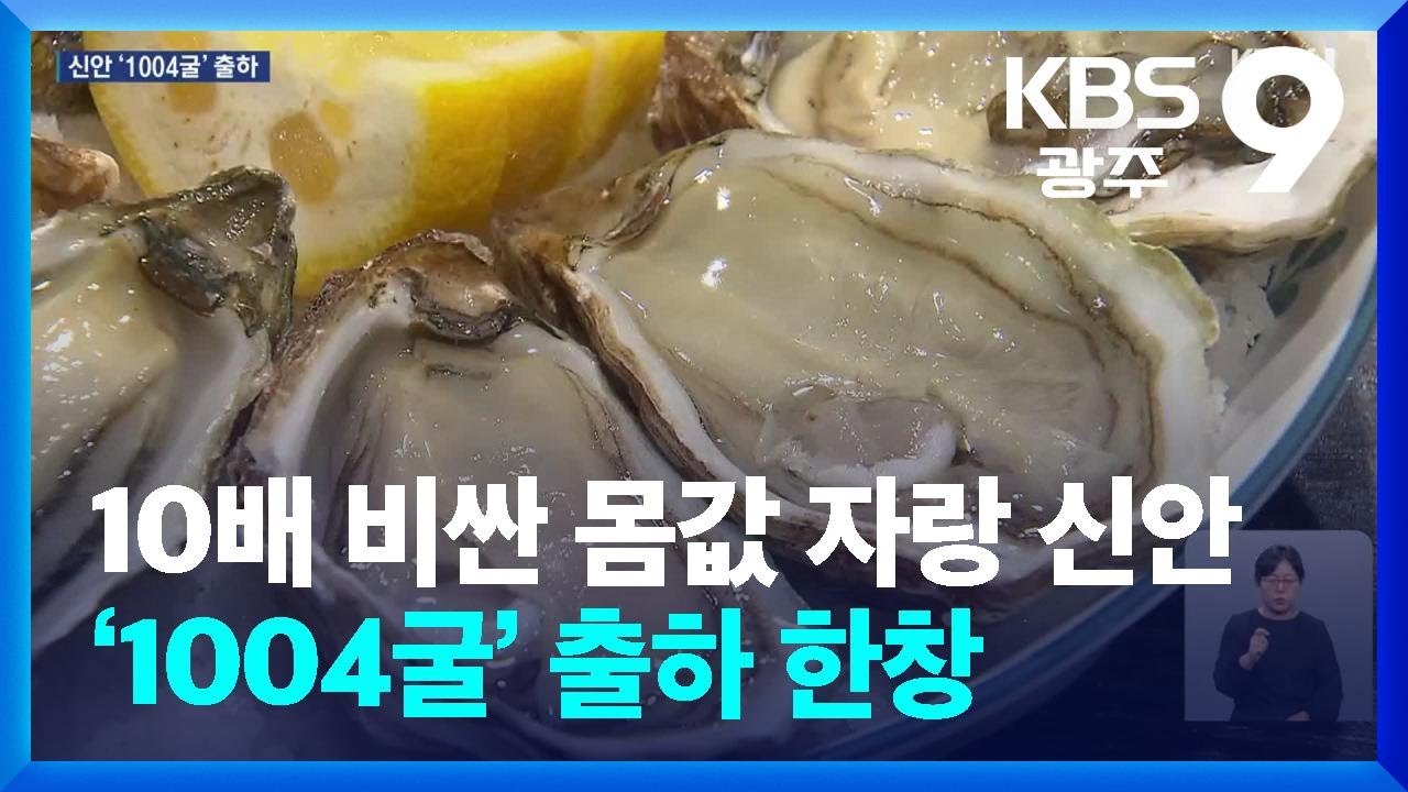 10배 비싼 몸값 자랑 신안 &lsquo;1004굴&rsquo; 출하 한창 / KBS  2024.11.08.