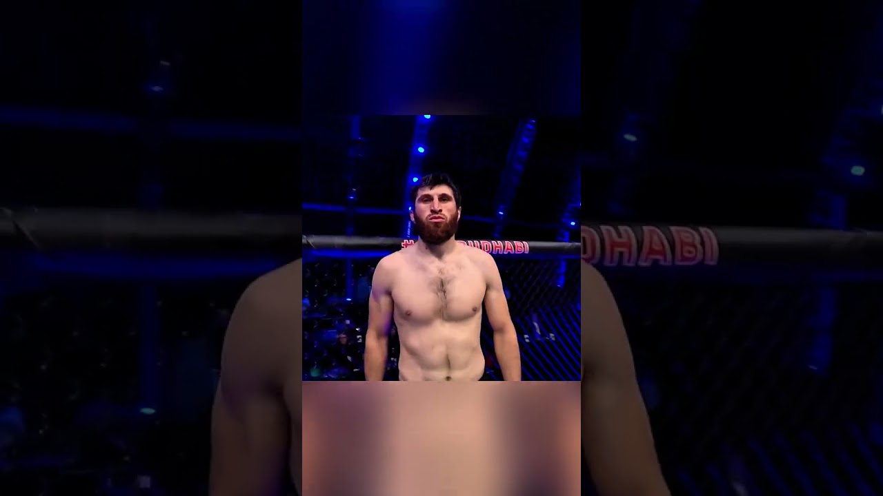 Magomed Ankalaev vs Ion Cutelaba