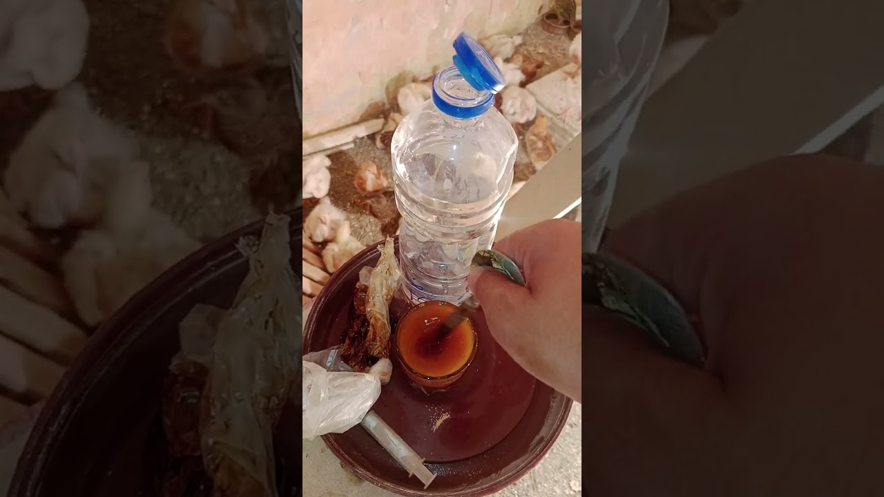 في خلطه لزم تتحط مع العلف لما الساسو و الكتايكت يكون عمرها15يوم