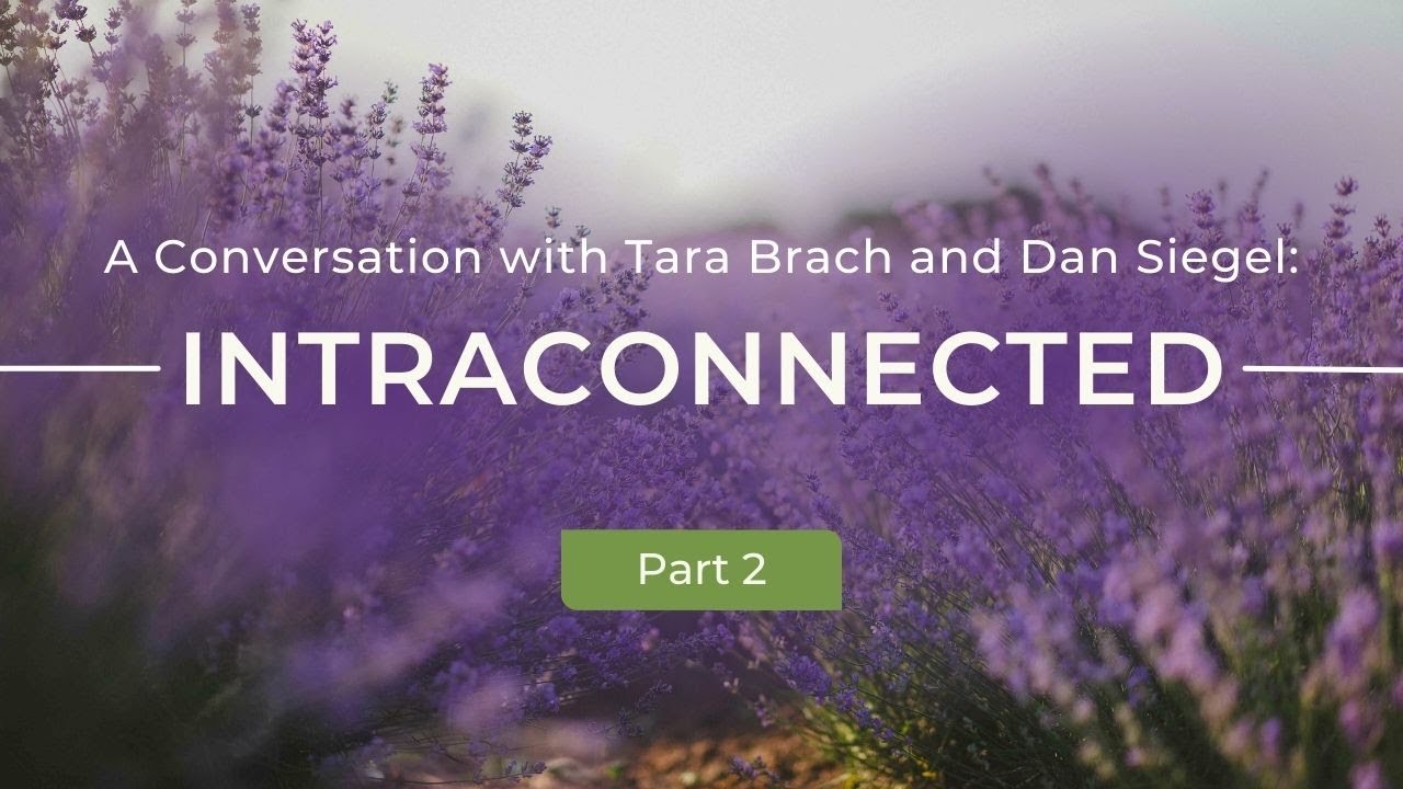 IntraConnected: A Conversation with Tara Brach and Dan Siegel (Part 2)