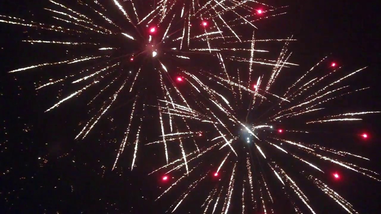 Dragon Fireworks Blooming Garden Premium Ltd Ed.