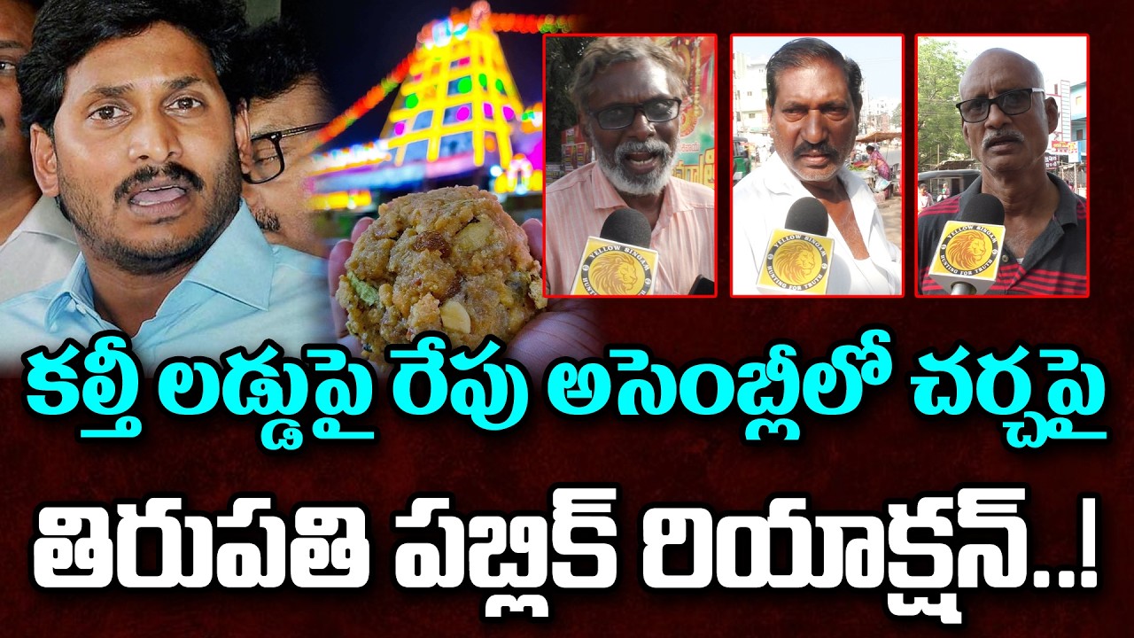 Public Sensational Comments on YS Jagan | Chandrababu | Yellow Singam