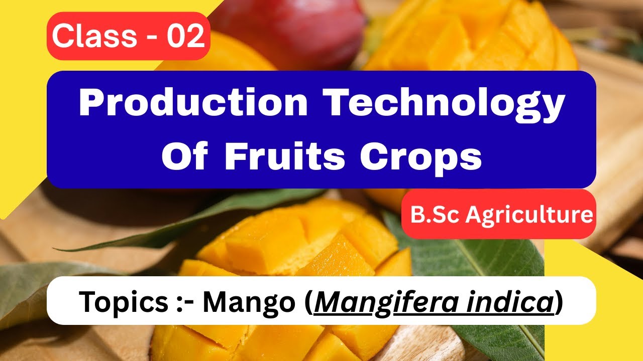 Class-02 | Mango | Production Technology of Fruit Crops | B.Sc Agriculture | Agri Academy Deoria