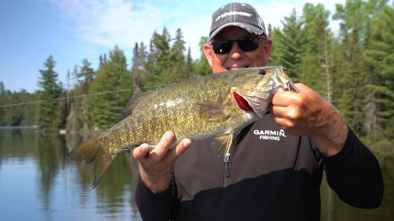 Epic Smallmouth Adventure: Expert Tips & Tricks at Ontario's Camp Quetico