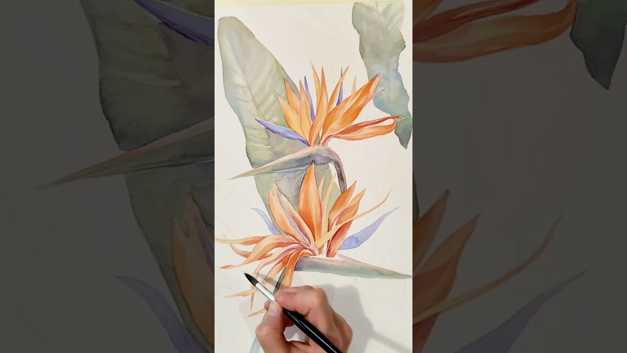 The process of painting. Little guide for watercolor painting. Tropical flowers.