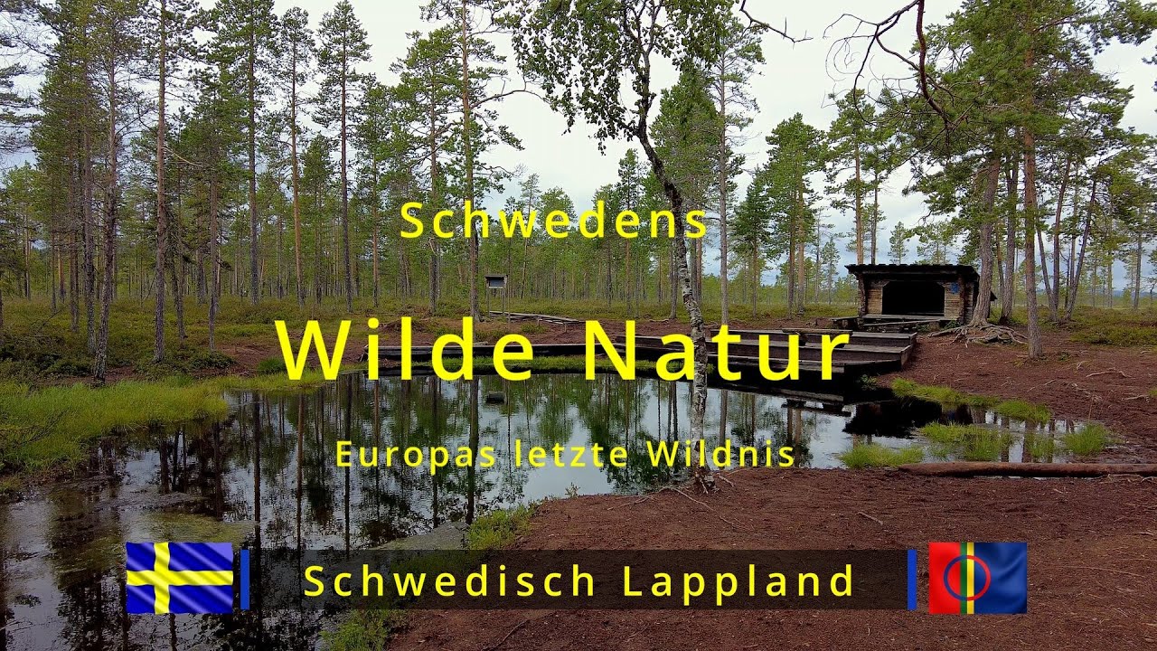 Schwedes Wilde Natur | Europas letzte Wildnis | Grodkällan | Trollforsen | Muddus Nationalpark | S