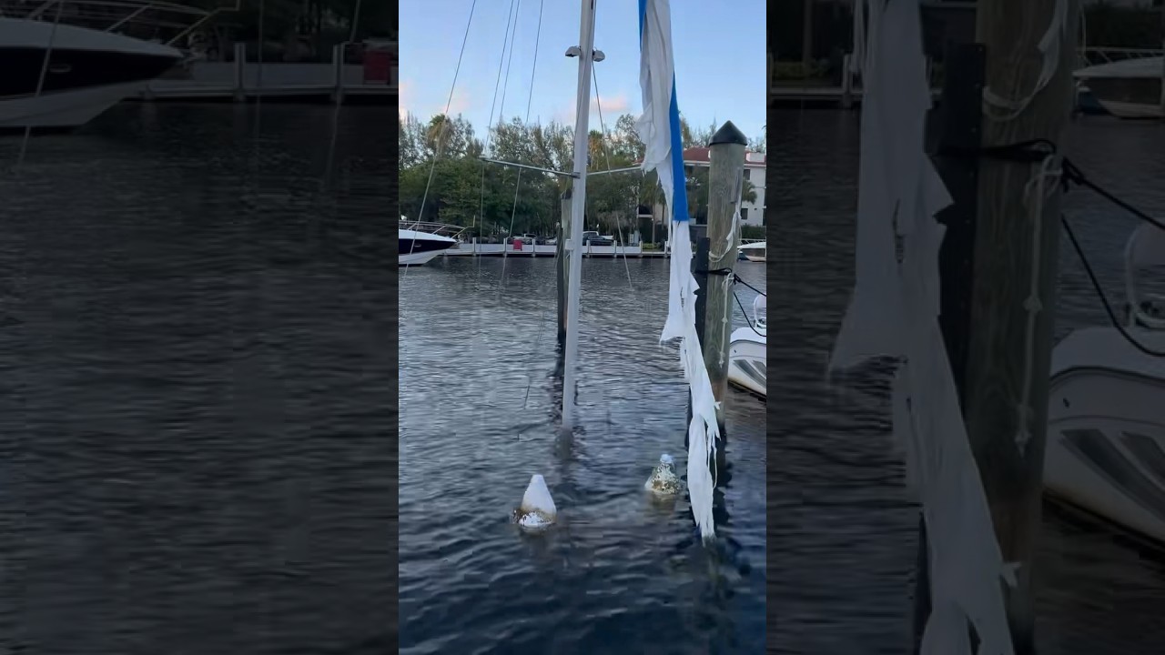 Captain Jack Sparrow is here ☠️ #piratesofthecaribbean #sailing #fail