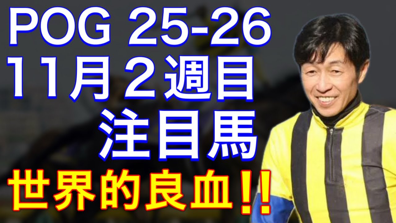 【POG/25&minus;26】11月２週目デビューの注目新馬を紹介【世界的な良血馬が武豊騎手でデビュー‼️】