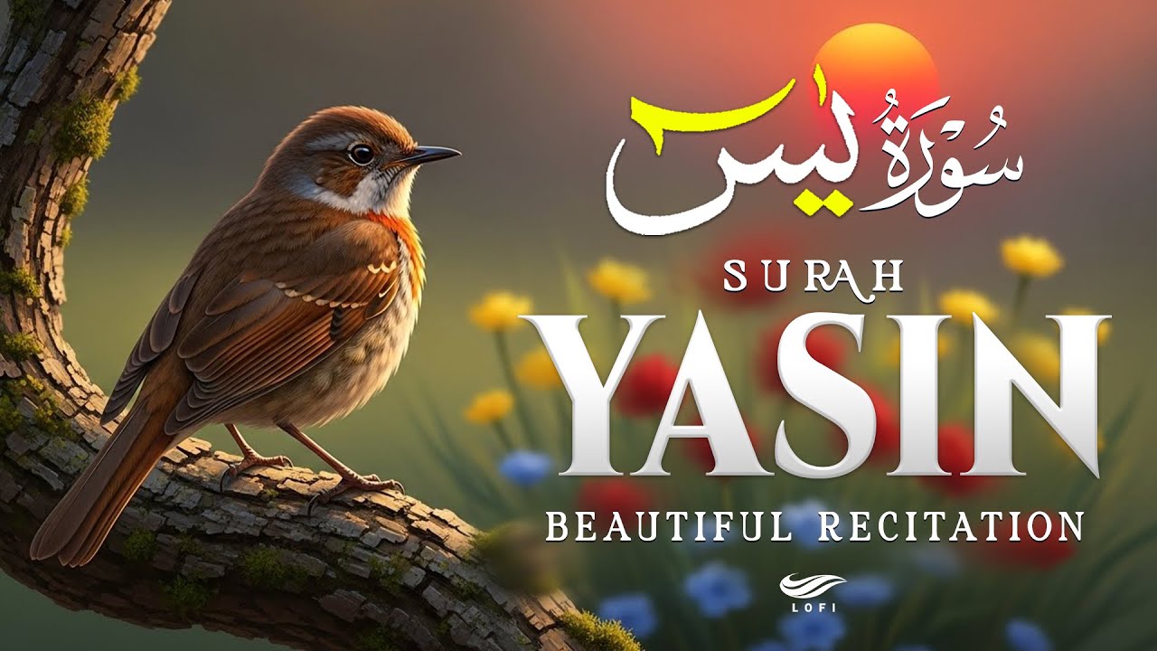 Surah Yasin (Yaseen) سورة يس ✪ Beautiful Quran Recitation ✪ Reciter Alaa Aqel