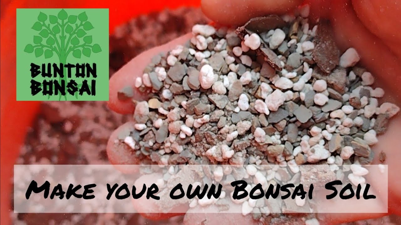 Making Inexpensive Bonsai Soil the @TheBonsaiZone Way! 🌲❤️