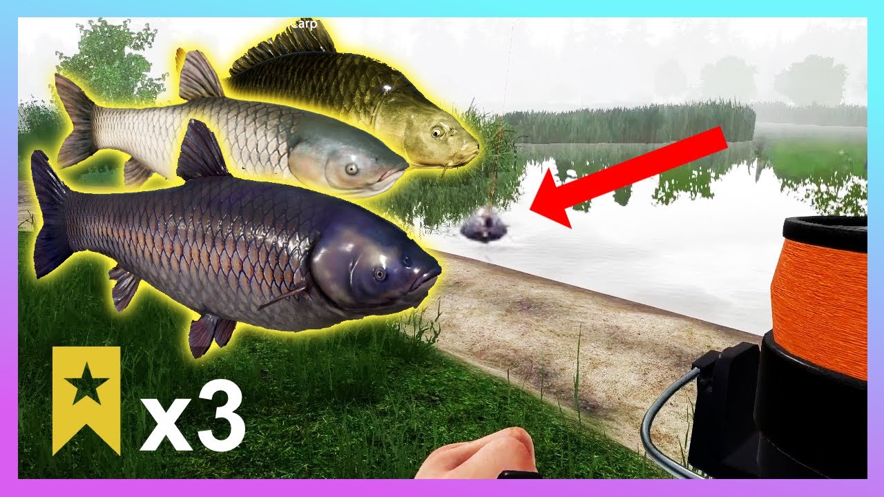 Bear Lake Spot Black Carp Grass Carp Common Carp Trophy - Russian Fishing 4 RF4