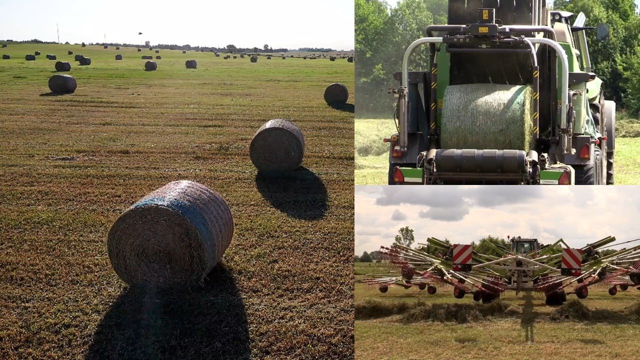 Make grass in to hay bale | Harvesting hay bales | baling hay complete process | Green acres