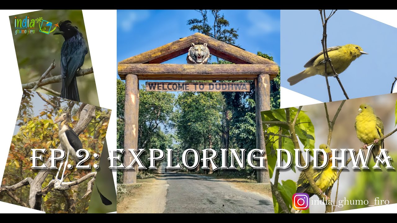Episode 2 | Exploring Dudhwa National Park | The Beauty of Terai Forest |