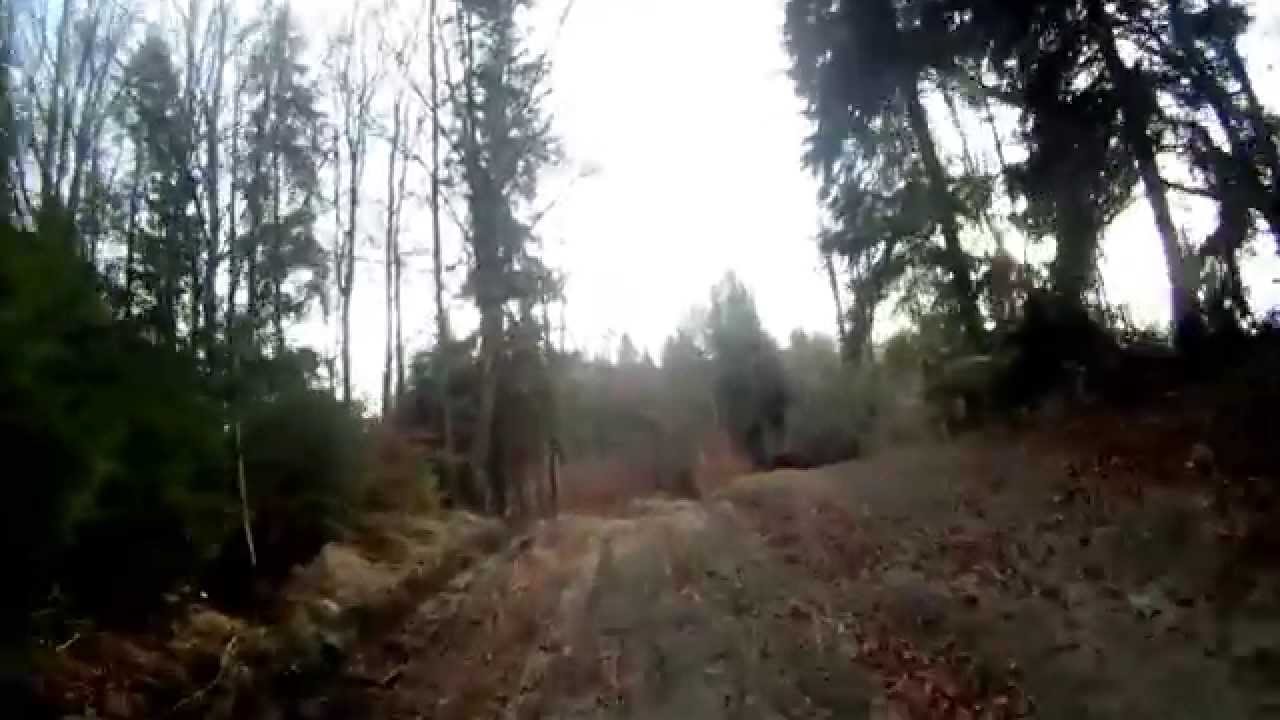 Krościenko - Dzwonkówka - Szczawnica