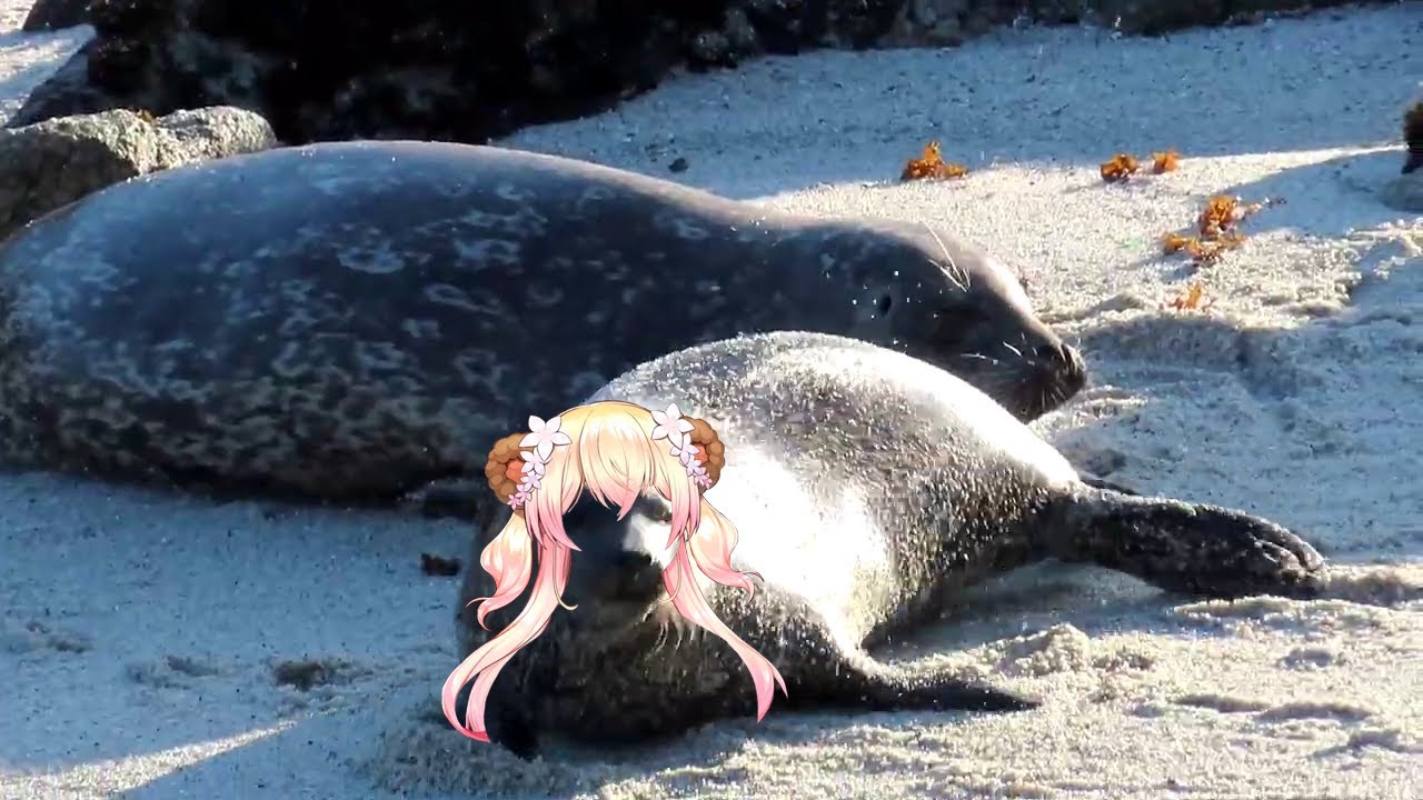【Vtuber廢片】Nene roaring 遜炮亂叫【桃鈴ねね】