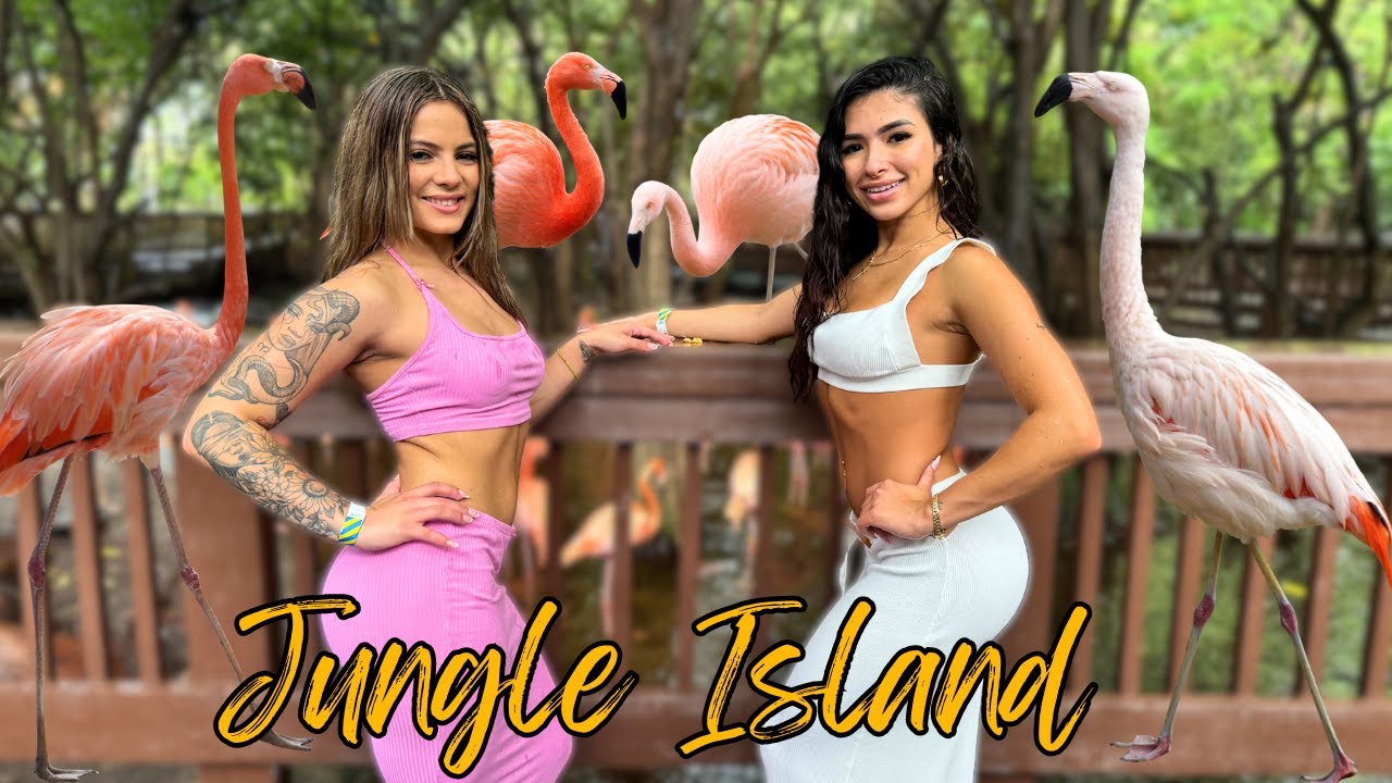 Honest Jungle Island Review: Rain or Shine?