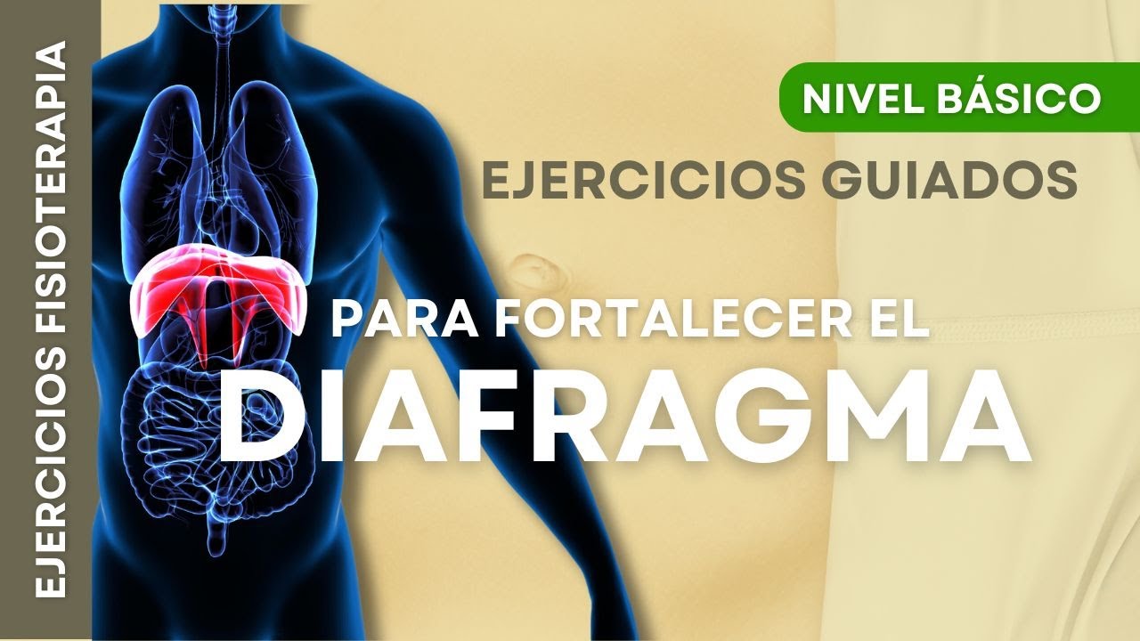 EJERCICIOS Respiratorios FÁCILES para fortalecer el DIAFRAGMA | 🫁 Mejora tu RESPIRACIÓN y BIENESTAR