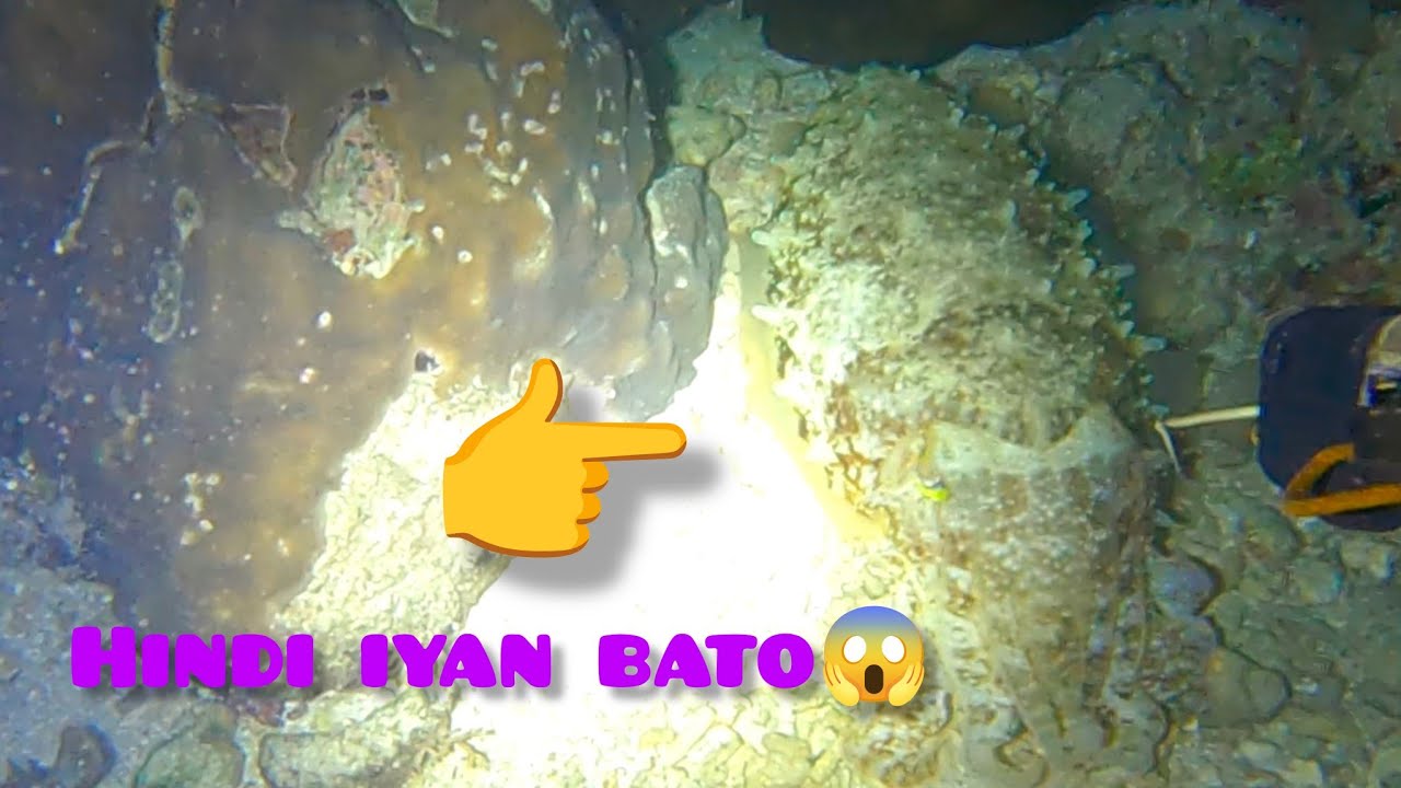 NIGHT SPEARFISHING: dambuhalang pugita at bagulan😱