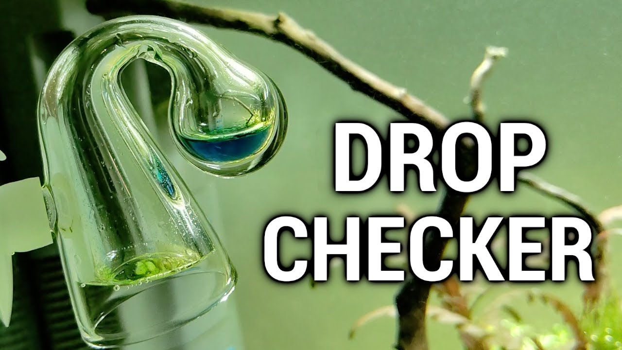 Drop Checker Aquarium : maîtrisez le CO2 sans prise de tête