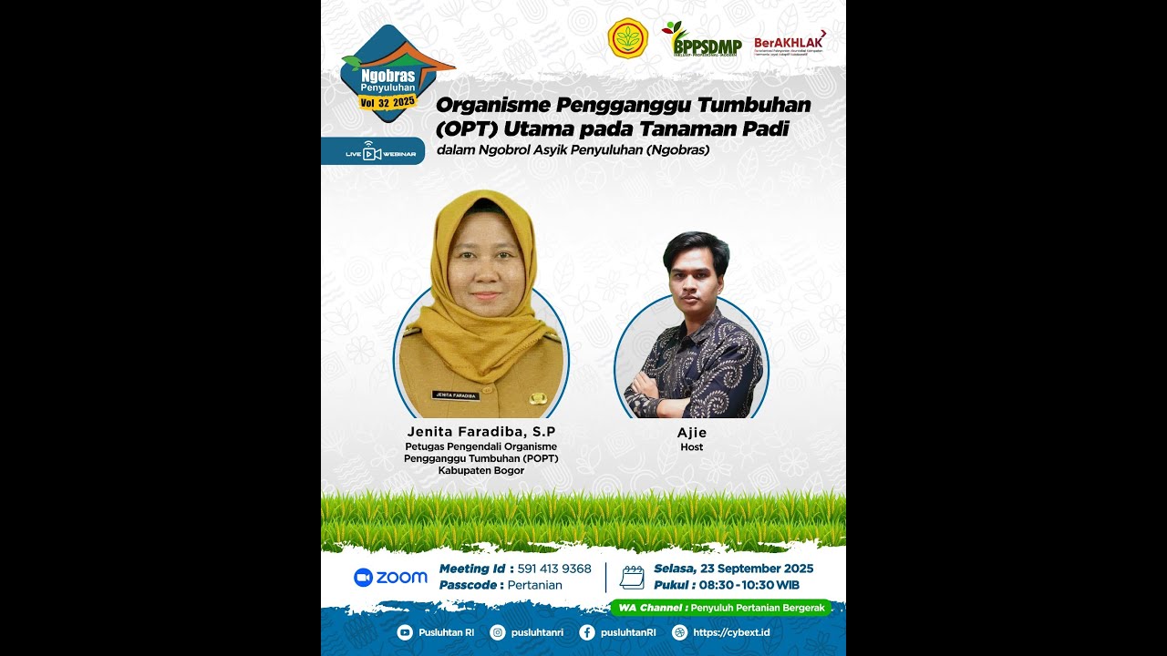 Ngobras Volume 32 Tahun 2025 "Organisme Pengganggu Tumbuhan (OPT) Utama pada Tanaman Padi