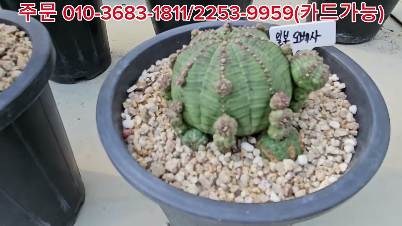  즐거운건  함께~~ㅎ