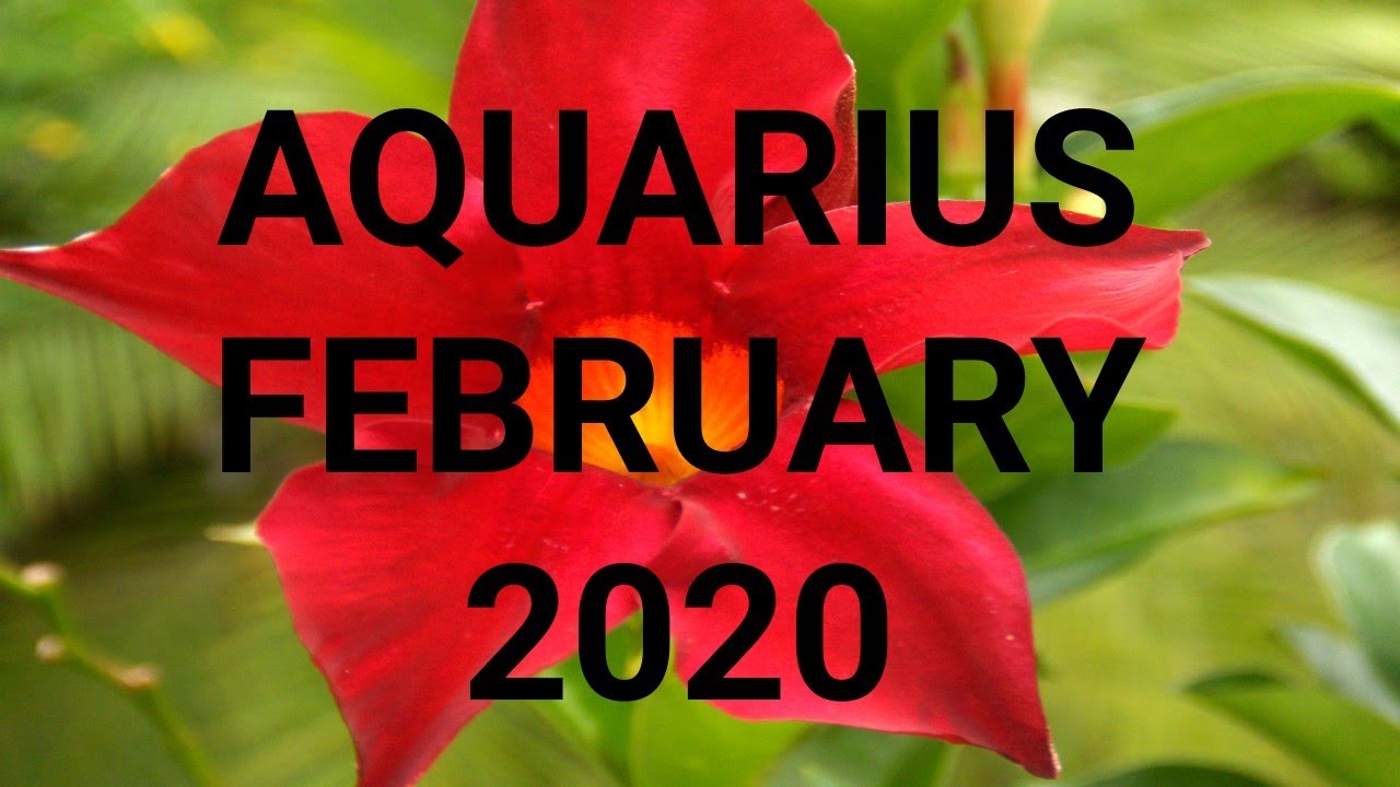 Aquarius ~ February 2020 ~ UNEXPECTED OPPORTUNITY!  Clairvoyant Psychic Tarot Card Reading