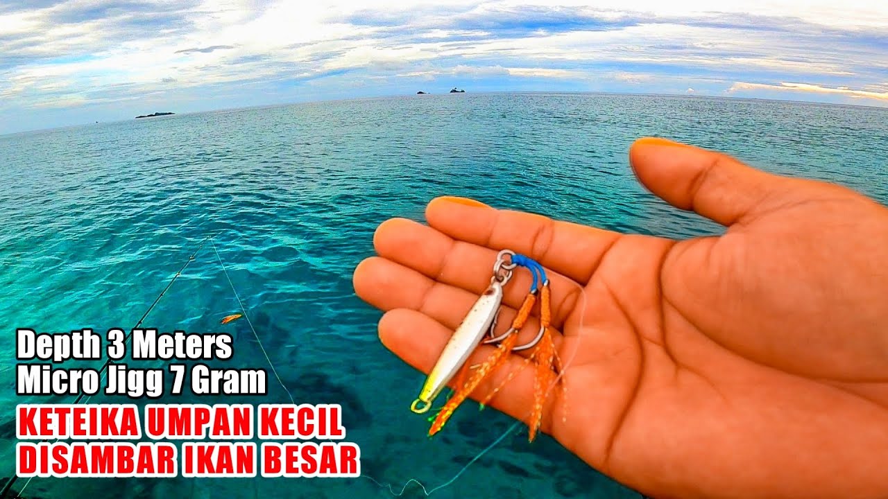 REEL BERDERIT KERAS !!! MANCING JIGGING & CASTJIGG DIKARANG DANGKAL PAKAI UMPAN MICRO JIGG 7 GRAM