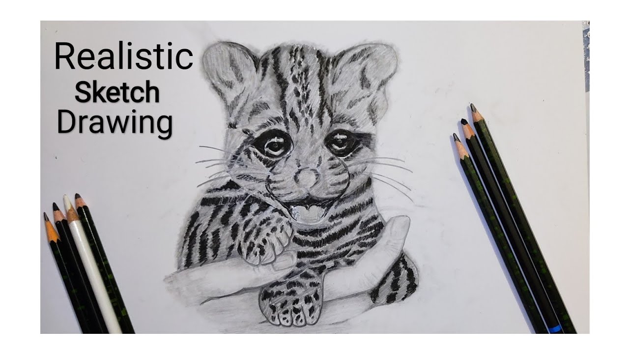 animal sketch | realistic animal sketch | How to draw | animal sketch drawing for beginners