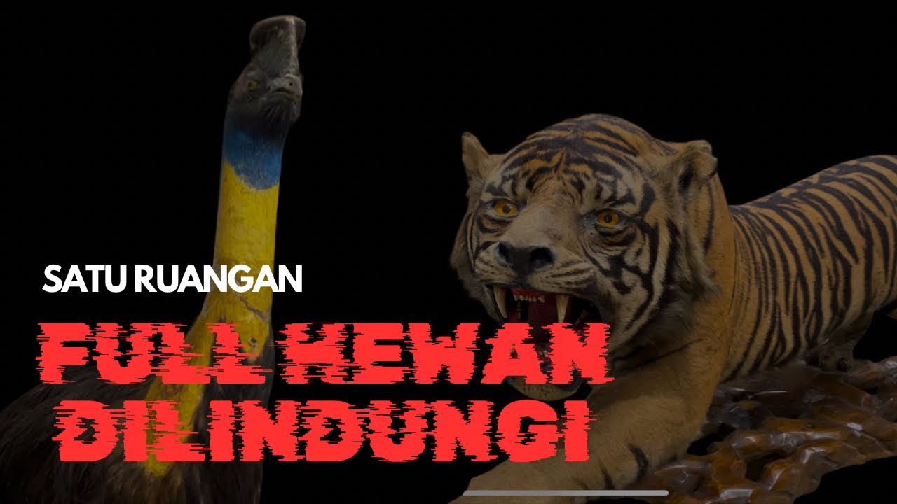 KOLEKSI MUSEUM ZOOLOGY ITB