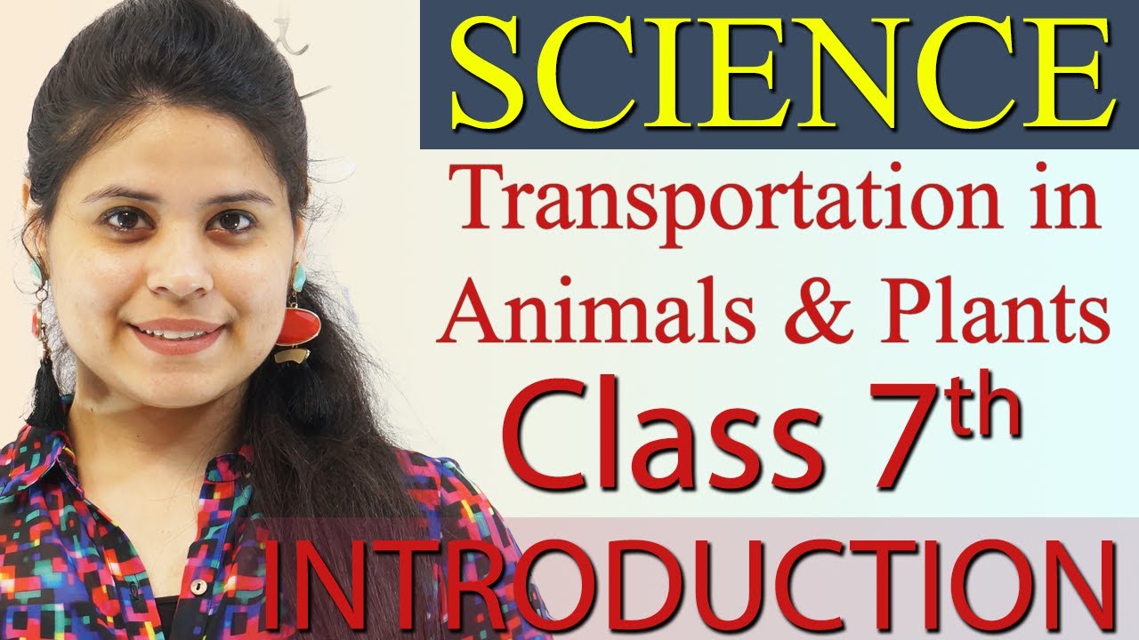 Introduction - Chapter 7 - Transportation in Animals and Plants - Science Class 7th NCERT