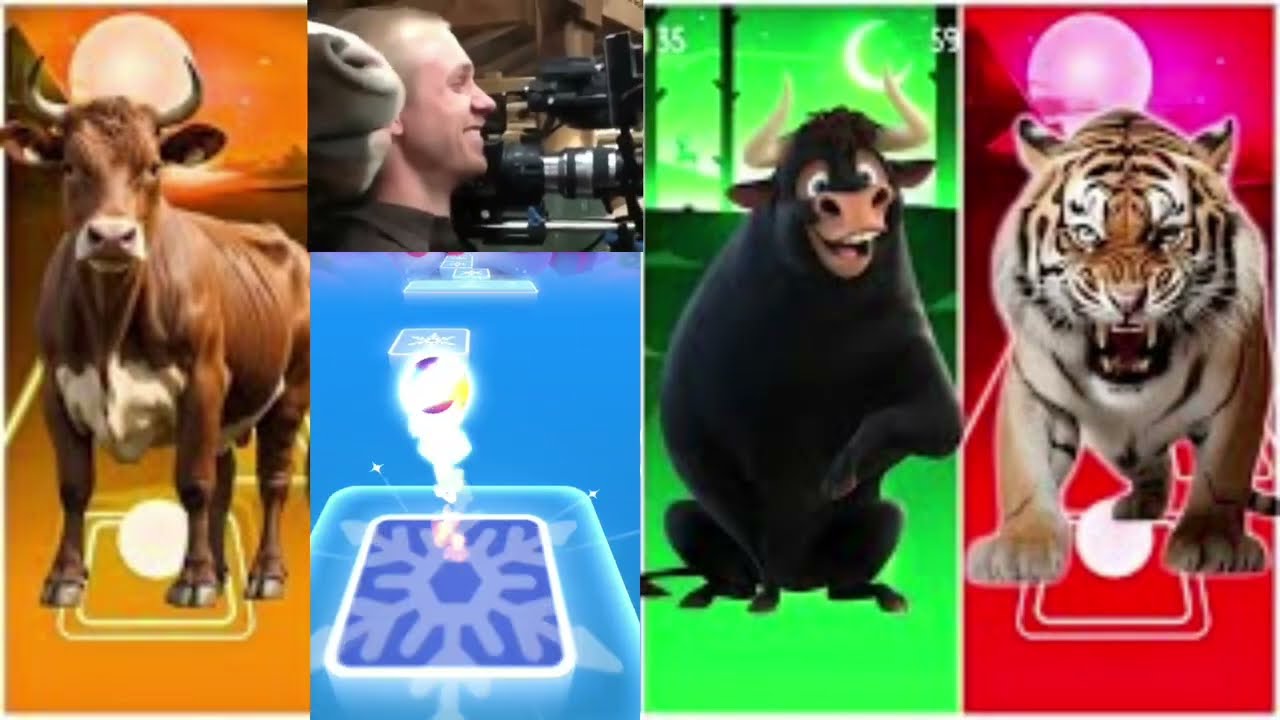 Funny Animals-Cow🐃🆚Horse🐎🆚Ferdinand🐃🆚Tiger🐅